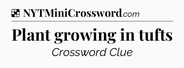 Solution: Plant growing in tufts - NYT Crossword