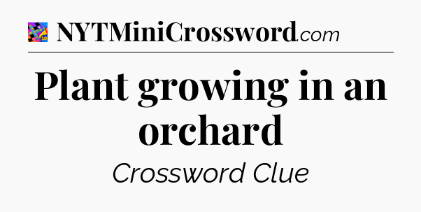 Plant growing in an orchard Crossword Clue