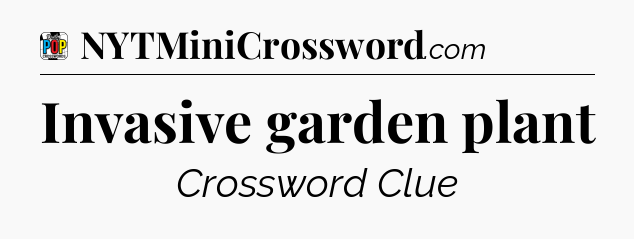 Invasive garden plant Crossword Clue