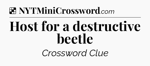 Solution: Host for a destructive beetle - NYT Crossword