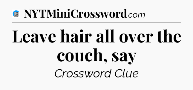 Leave hair all over the couch, say Crossword Clue