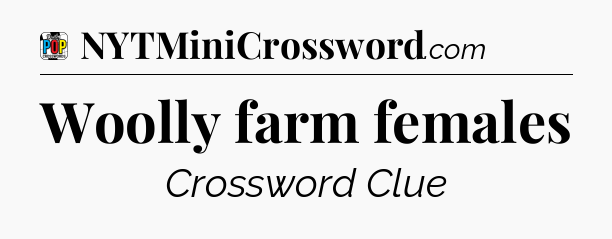 Woolly farm females Crossword Clue