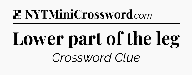 Solution: Lower part of the leg - NYT Crossword