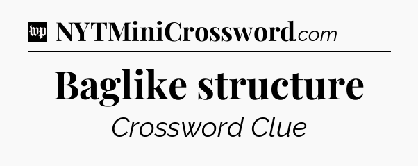 Baglike structure Crossword Clue