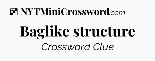 Solution: Baglike structure - NYT Crossword