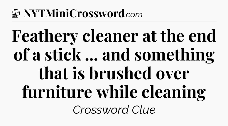 Feathery cleaner at the end of a stick ... and something that is brushed over furniture while cleaning - Daily Themed Classic Crossword