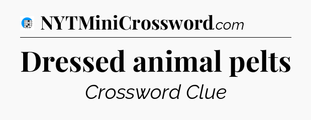 Dressed animal pelts Crossword Clue