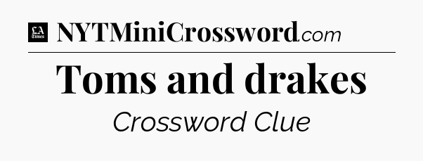 Toms and drakes - LA Times Crossword