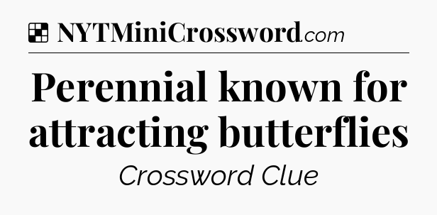 Solution: Perennial known for attracting butterflies - NYT Crossword