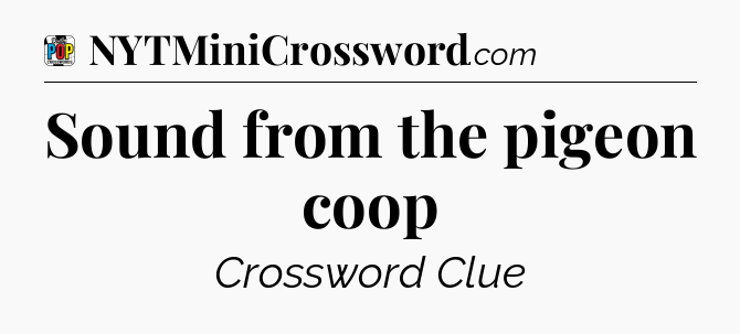 Sound from the pigeon coop Crossword Clue