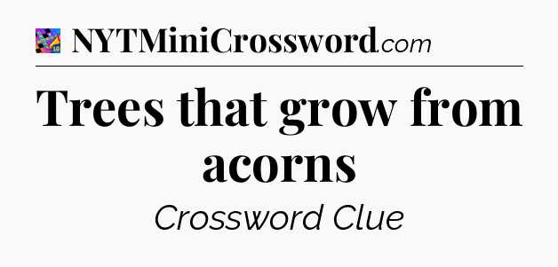 Trees that grow from acorns Crossword Clue