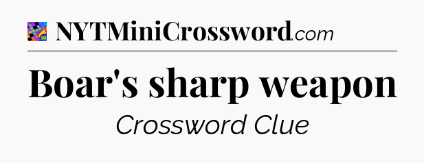 Boar's sharp weapon Crossword Clue