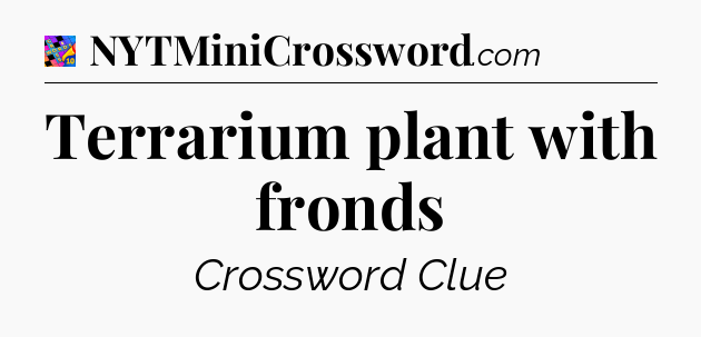 Terrarium plant with fronds Crossword Clue