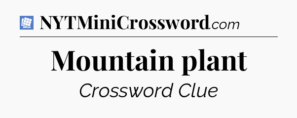 Mountain plant Puzzle Page Crossword Clue
