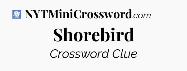 Shorebird Puzzle Page Crossword Clue
