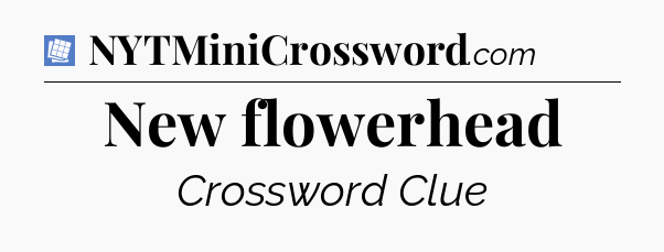 New flowerhead Puzzle Page Crossword Clue