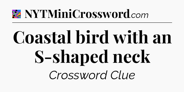 Coastal bird with an S-shaped neck Crossword Clue