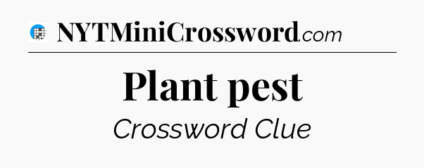 Plant pest Crossword Clue