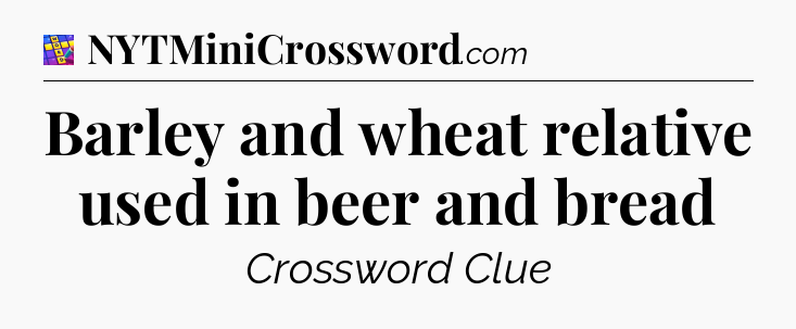 Barley and wheat relative used in beer and bread Codycross