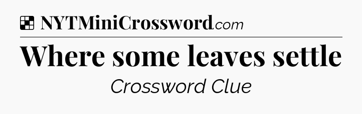 Solution: Where some leaves settle - NYT Crossword