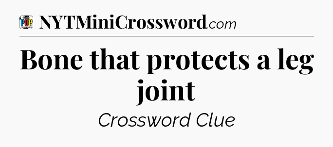 Bone that protects a leg joint Crossword Clue