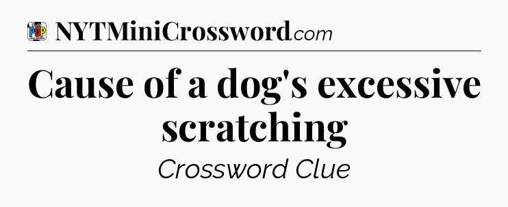 Cause of a dog's excessive scratching Crossword Clue