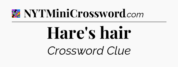 Hare's hair Crossword Clue