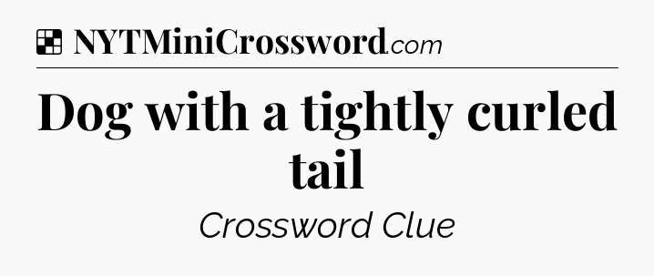 Solution: Dog with a tightly curled tail - NYT Crossword