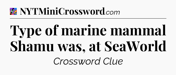 Type of marine mammal Shamu was, at SeaWorld Crossword Clue