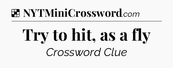 Solution: Try to hit, as a fly - NYT Crossword