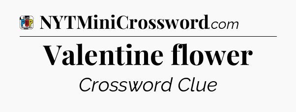 Valentine flower Crossword Clue