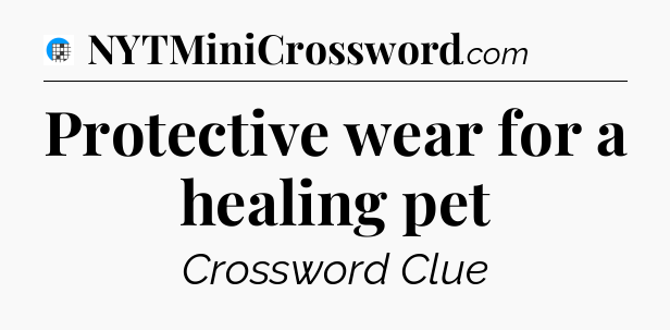 Protective wear for a healing pet Crossword Clue