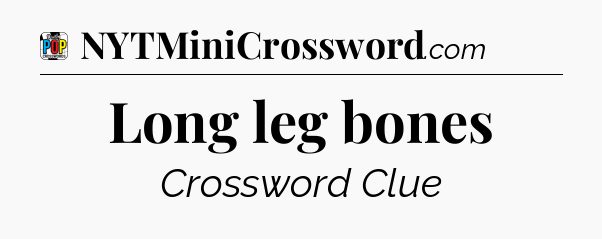 Long leg bones Crossword Clue