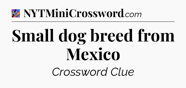 Small dog breed from Mexico Crossword Clue