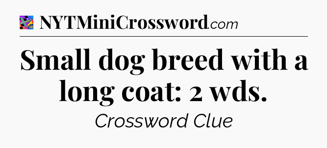 Small dog breed with a long coat: 2 wds Crossword Clue