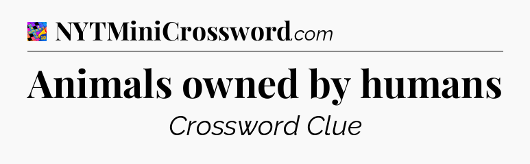 Animals owned by humans Crossword Clue
