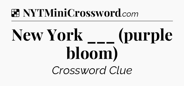 Solution: New York ___ (purple bloom) - NYT Crossword