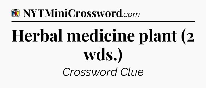 Herbal medicine plant (2 wds.) Crossword Clue