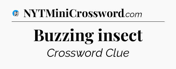 Buzzing insect Crossword Clue