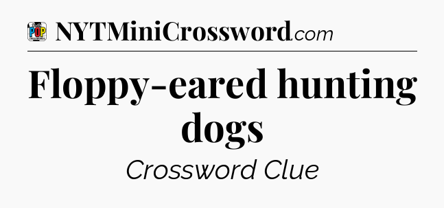 Floppy-eared hunting dogs Crossword Clue