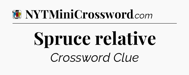 Spruce relative Crossword Clue