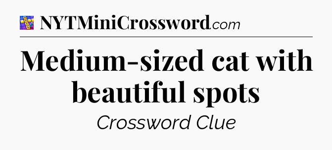 Medium-sized cat with beautiful spots Codycross