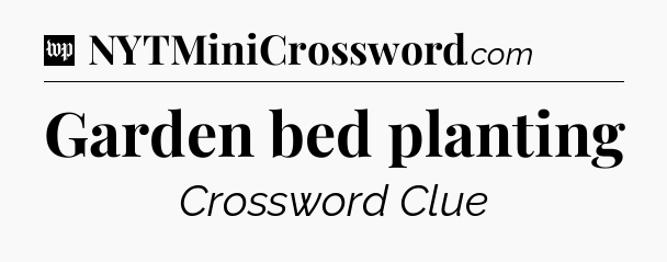 Garden bed planting Crossword Clue