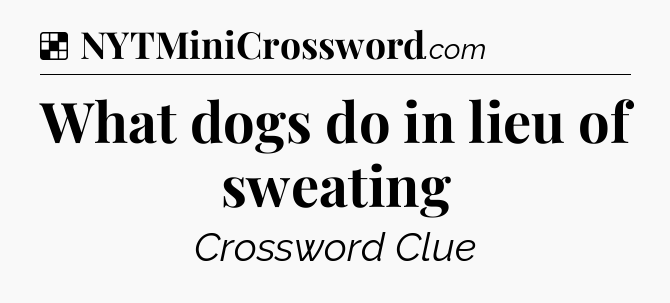 Solution: What dogs do in lieu of sweating - NYT Crossword
