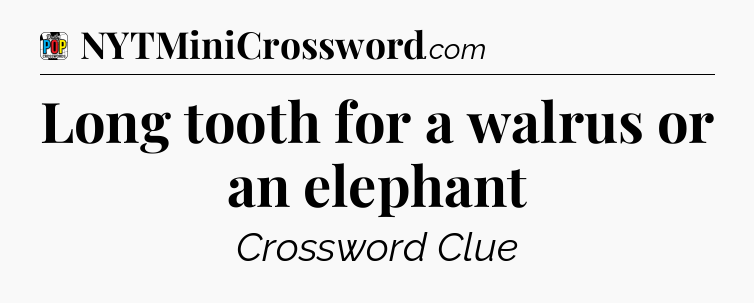 Long tooth for a walrus or an elephant Crossword Clue