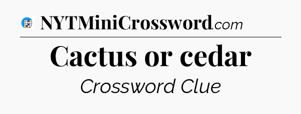 Cactus or cedar Crossword Clue
