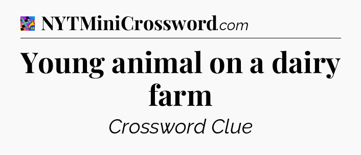 Young animal on a dairy farm Crossword Clue