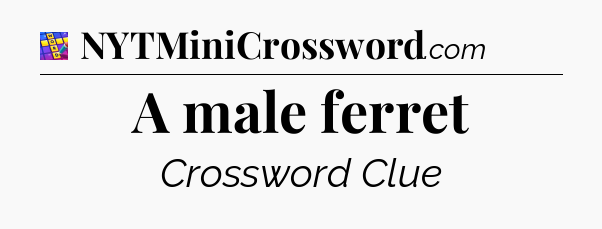 A male ferret Codycross