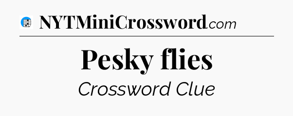 Pesky flies Crossword Clue
