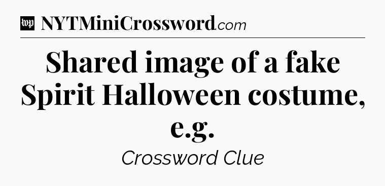 Shared image of a fake Spirit Halloween costume, e.g Crossword Clue